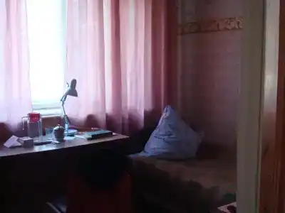 Сосновый бор - 13