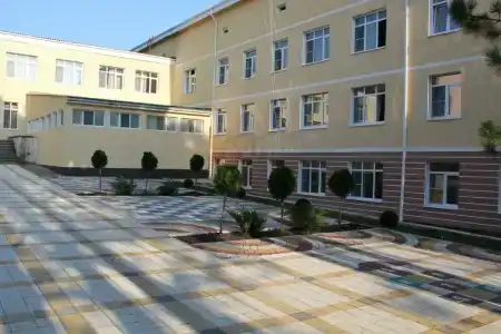Пионер - 3