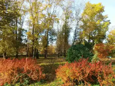 Родничок - 1