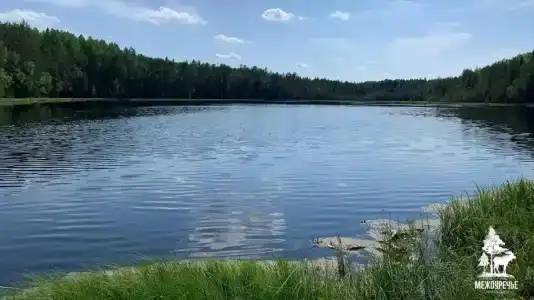 Междуречье - 2