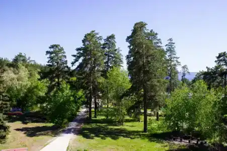 Радуга - 1