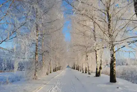 Федосьино - 8