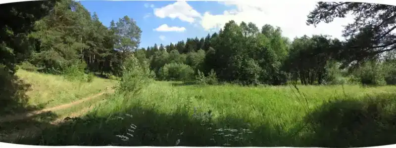 Зеленая роща - 0