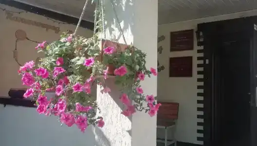 Тихая Гавань - 41