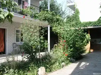 Михалыч - 38