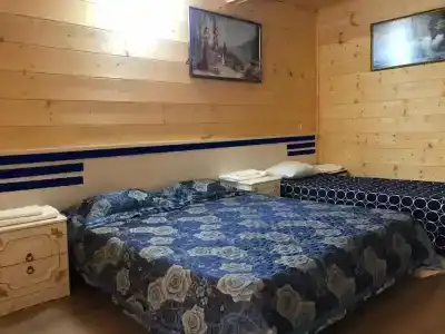 Камелия - 3