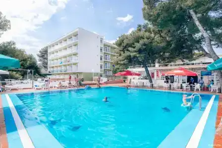 Punta - 35
