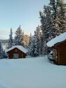 Эдельвейс - 14