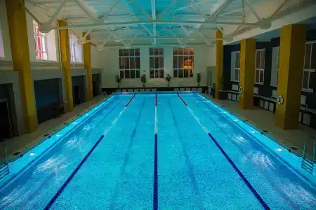 Граф Толстой - 37