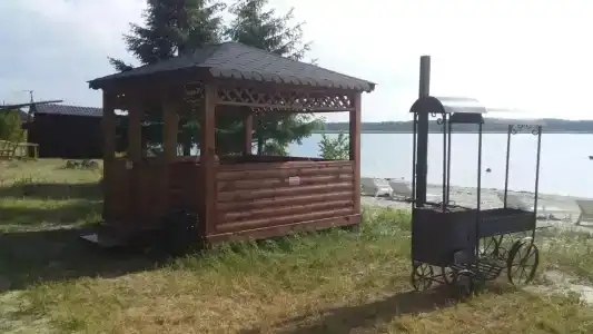 Березка - 6