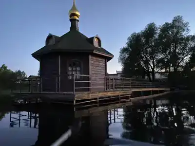 Аист - 49