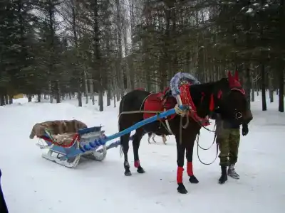 Санаторий имени Пржевальского (Лафер) - 12