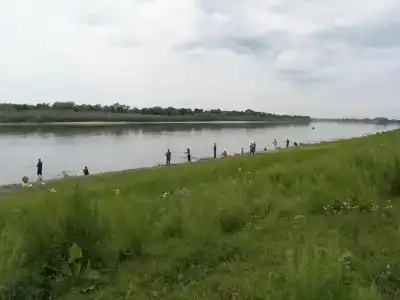 Горбатов - 4