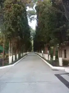 Пионер - 2