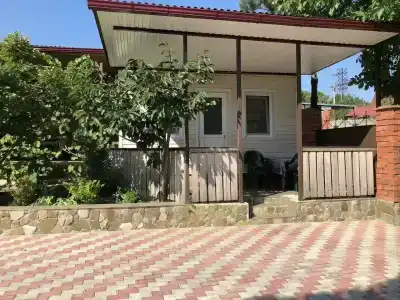 Под соснами - 0