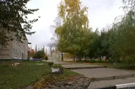 Дубравушка - 1