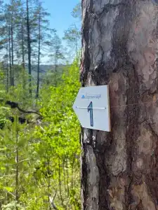 Карелия Парк - 83