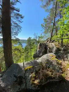 Карелия Парк - 80