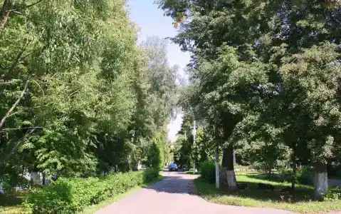 Зеленая роща - 7
