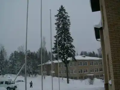 Сосновый мыс - 0