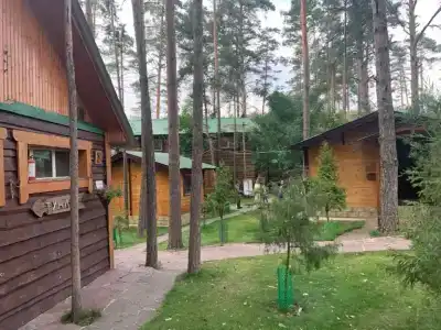 Лесная сказка - 45