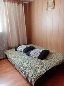 Патрина - 14
