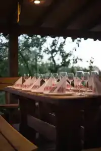 Forest river - 17