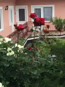 Светлана - 55