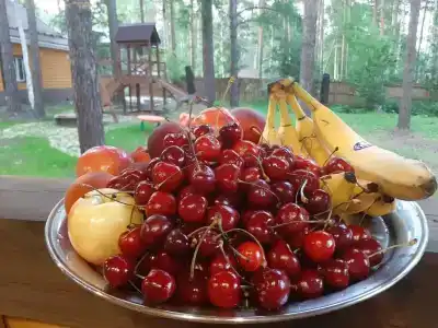 Дача Сосны-Лес - 8