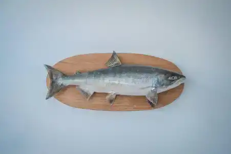 Морской Конёк - 46