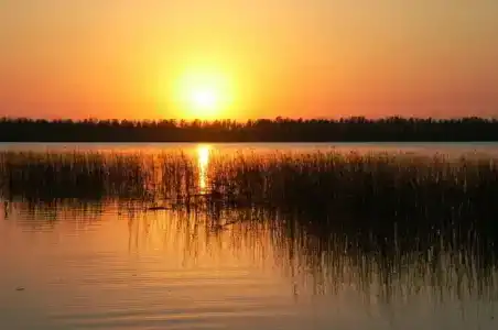 Большой Тараскуль - 1