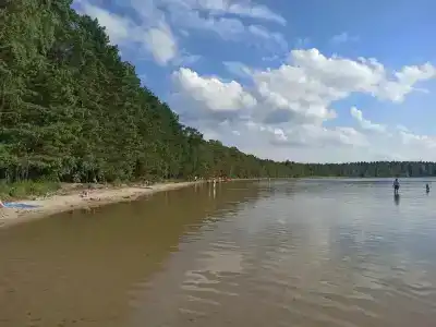 Белое озеро - 58