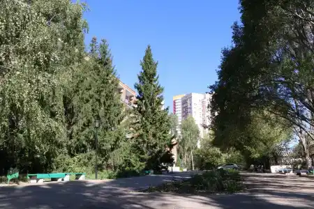 Фрунзенец - 1
