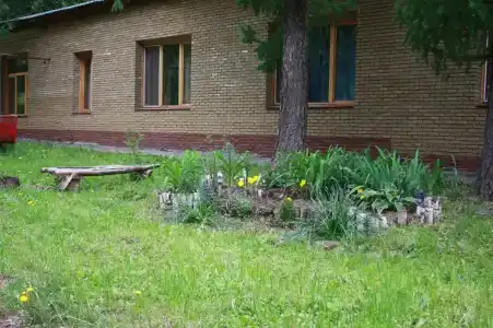 Большая Ельня - 4