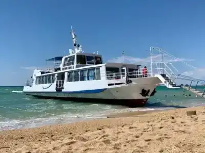 Лазурный - 47