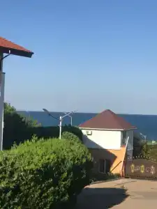 Вязовая роща - 74