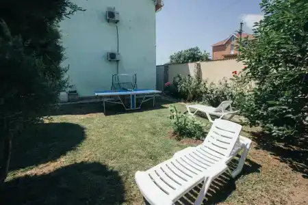 Флора - 11