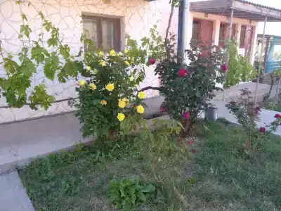 Уютный уголок Тарханкута - 11