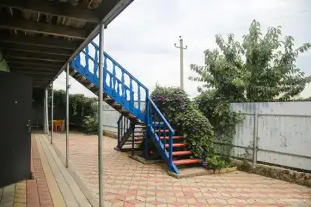 Азовский персик - 9
