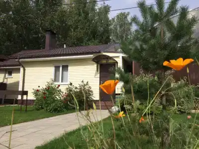 Белый Дельфин - 43