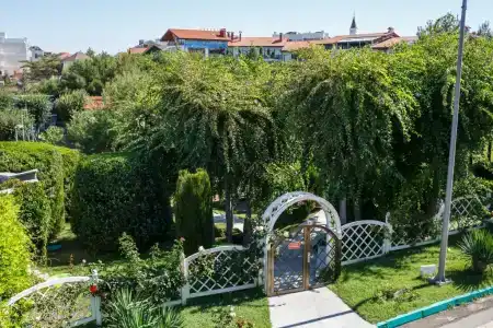 Вязовая роща - 73