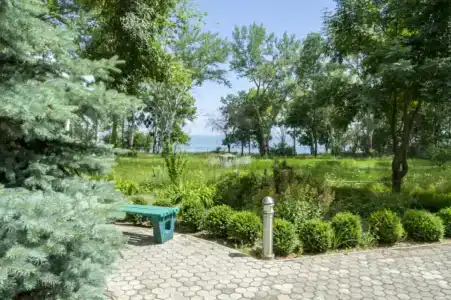 Мечта Тея - 43