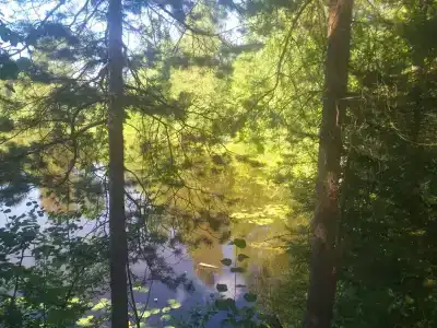 Белый Дельфин - 23
