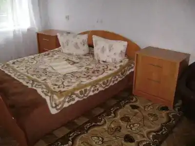 Родничок - 8