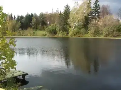 Зеленая роща - 8