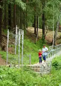 Лесная сказка - 2