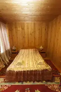 Чайковский - 25