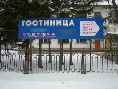 Лаванда - 0