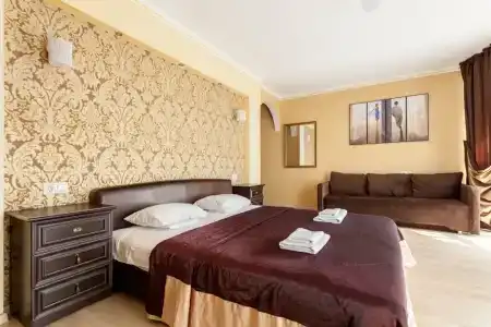 Виноград - 62