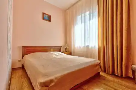 Дельфин - 14